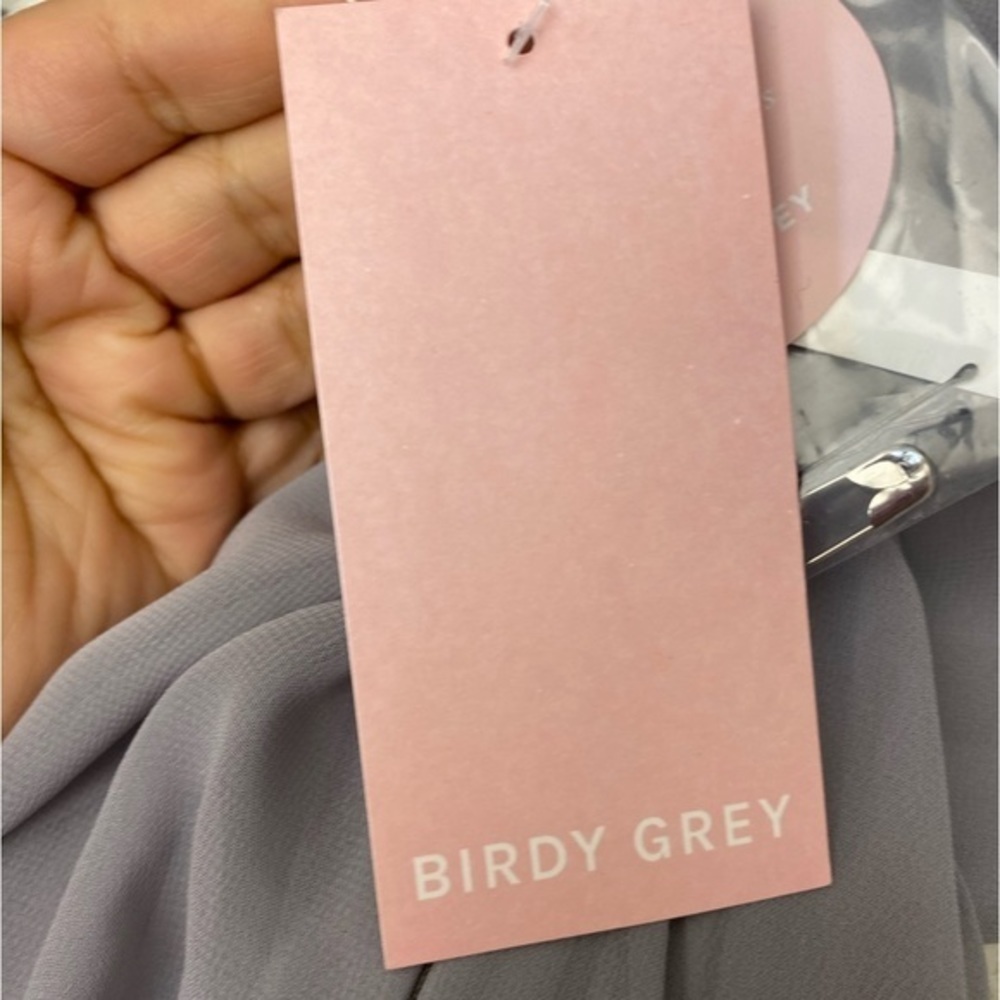 NWT Birdy Grey Kae Chiffon Dress in Silver - Picture 9 of 11